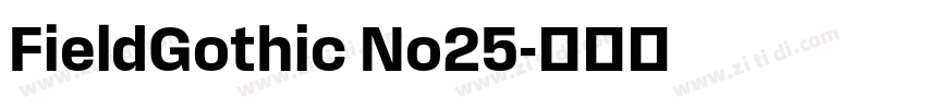 FieldGothic No25字体转换